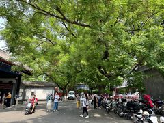 -北京国子监胡同