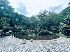 -莫里热带雨林景区