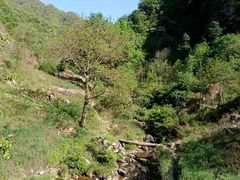 -秦岭风景区