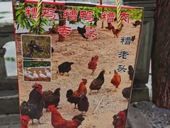 -鸣鹤古镇