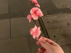-常德桃花源景区
