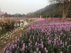 -顺峰山公园