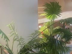 -掂档潮汕牛肉火锅(沈阳万象城店)