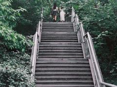 -佛山华盖山公园