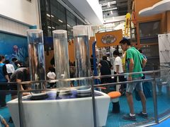 -中国宋庆龄青少年科技文化交流中心