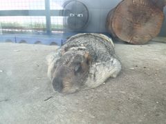 -杭州开元森泊度假乐园