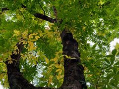 -宁波市保国寺古建筑博物馆