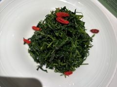 红果枸杞苗-清真·宁夏印象·盐池滩羊肉体验店(江宁路店)