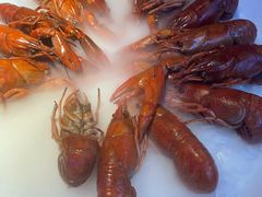 -红盔甲·小龙虾(车公庙店)