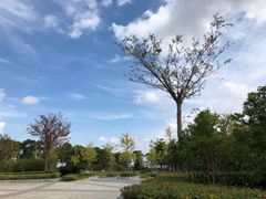 -上海滴水湖皇冠假日酒店