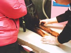 -北京佳信宠物医院