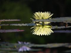 -云溪植物园