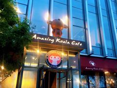 -了不起的考拉咖啡店(高新店)