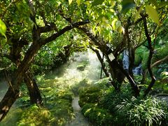 -Chom Cafe and Restaurant