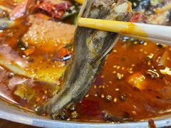 黄辣丁-靓蛙馆