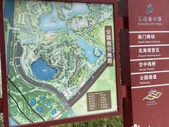 -王借岗森林公园