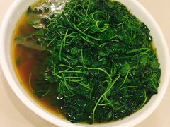 -新南华大酒店(长寿店)