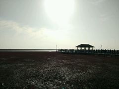 -红海滩国家风景廊道