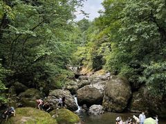 -龙苍沟森林公园