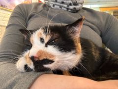 -平行世界·猫咖(首经贸店)