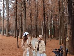 -佛冈森波拉度假区