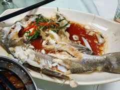 -日日香卤鹅饭店·澄海狮头鹅(澄海店)