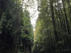 -山王坪喀斯特国家生态公园