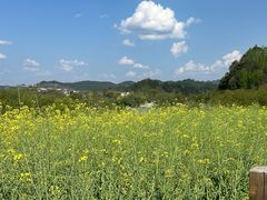 -婺源月亮湾