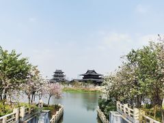 -海珠湖公园