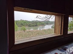-华侨城湿地公园
