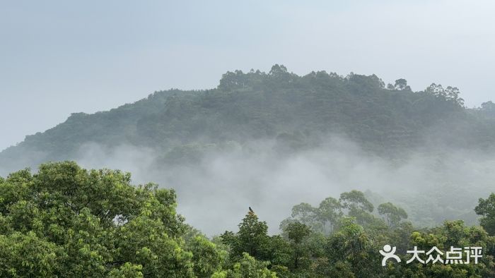 中旅阿那亚九龙湖·公主酒店图片