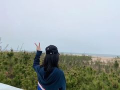-日照海滨国家森林公园