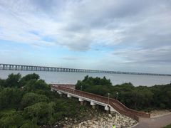 -宝安西湾红树林湿地公园