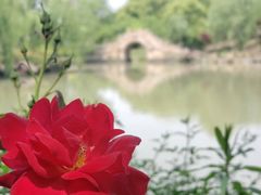 -韩湘水博园