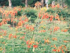 -三亚南山文化旅游区