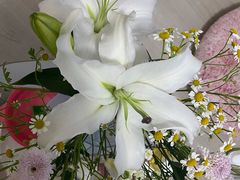 -安琳acKONA咖啡(市南店)