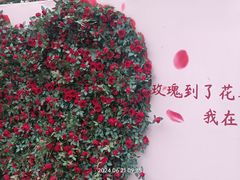 -北京凤凰岭