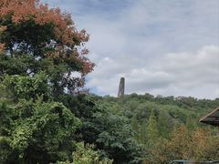 -上海佘山国家森林公园天马山园