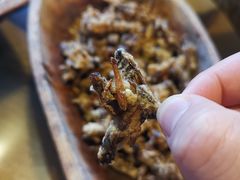 -基诺山寨.版纳民族特色菜