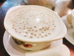 -南信牛奶甜品专家