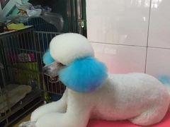 -喵宠乐园·撸猫互动·猫舍