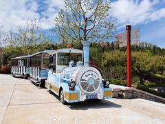 -龙口南山旅游景区