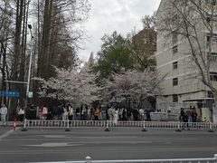 -耳域躺式采耳SPA馆(新街口店)