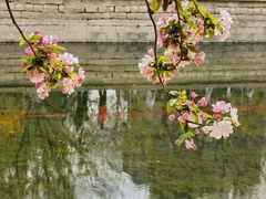 -海棠花溪(元大都城垣遗址公园)