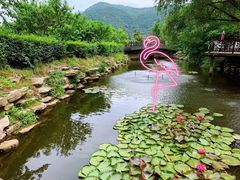 -树山生态村
