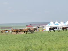 -呼和诺尔旅游景区