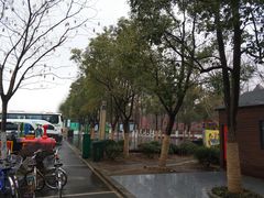 -合肥滨湖国家森林公园