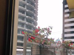 -DOUTOR德咖伦(吴江路店)