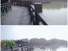 -海珠湖公园