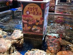 -盒马X会员店(王府井奥莱UP TOWN店)